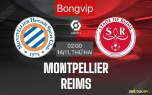 Reims vs montpellier - Soi kèo bóng Ligue 2022-2023 mới
