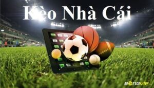 Keonhacai.org - Trang tin tức trực tiếp bóng đá 2022