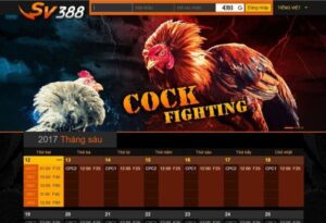 Da ga SV388 - Nhà cái chơi đá gà online uy tín hàng đầu Châu Á