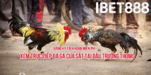 Ibet888 online - Ông hoàng trong làng cá cược trực tuyến