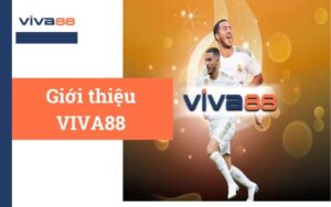 Viva88..com - Trang cá cược trực tuyến " Số víp " trên thi trường