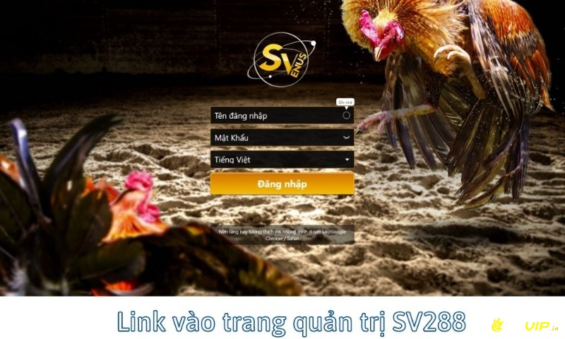 Link vao sv288- Trang quản trị chọi gòi SV388 trực tuyến