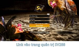Link vao sv288 - Trang tổng đá gà online SV388 agent mới nhất