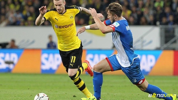 Đánh giá tổng quan để soi kèo Hoffenheim vs Dortmund