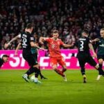 Bayern munich vs koln soi kèo 25/01/2023 – Bundesliga