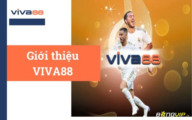 Viva88..com- Trang cá cược chất lượng nhất hiện nay