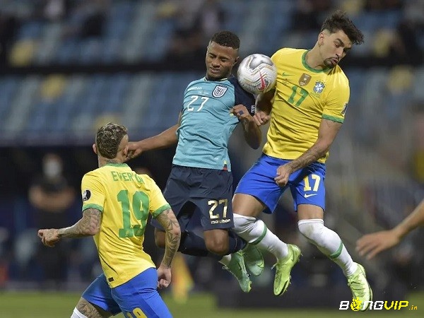 Brazil vs Ecuador soi kèo- Nhận định trận đấu - 28/06/2021
