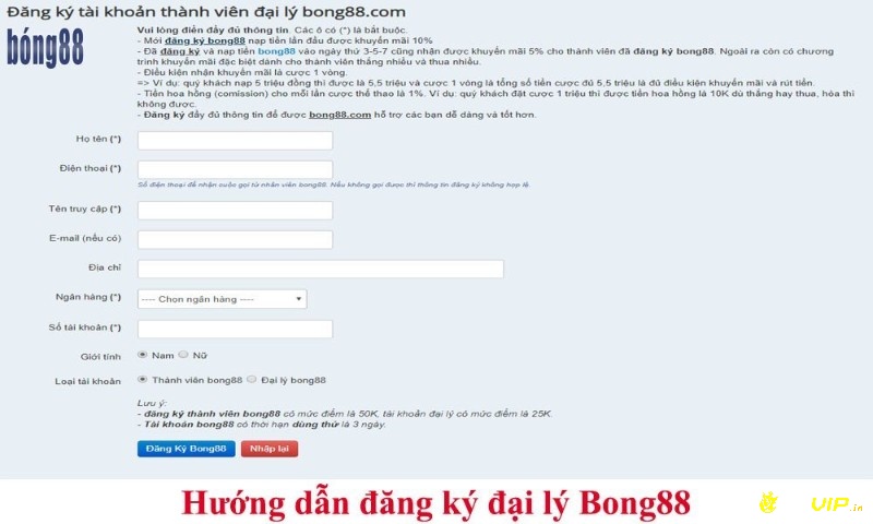 Các bước trở thành dai ly bong88 banhbong.com 