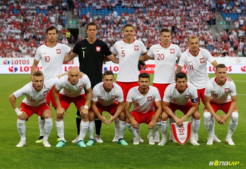 Nhận xét sức mạnh hai đội trước khi soi kèo Ba Lan và Hungary