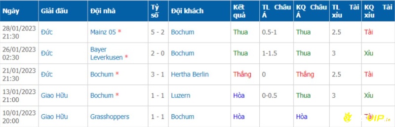 Phong độ đội chủ nhà trước trận đấu, soi kèo bochum vs hoffenheim