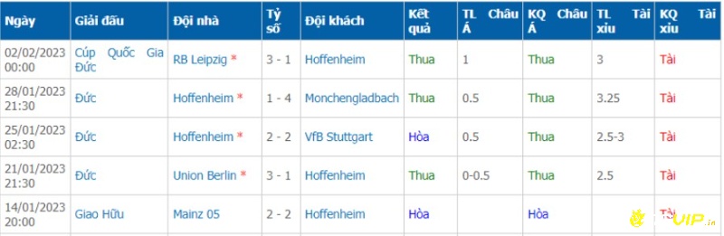 Phong độ đội khách trước trận đấu, soi kèo bochum vs hoffenheim