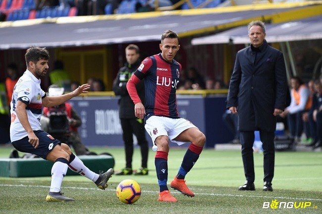 Đôi nét tổng quan về soi kèo Bologna vs Genoa