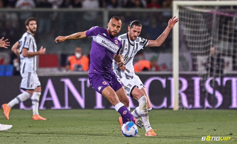 Soi keo Verona vs Fiorentina chuẩn qua Lịch sử đối đầu 2 đội
