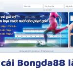 Bong88 com – Sân chơi cá cược cực kỳ chất lượng