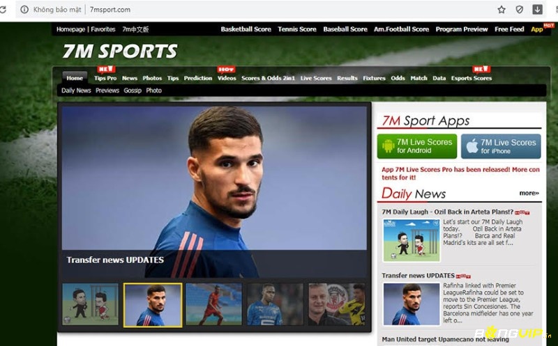 7msport.com hay bong đa 7m - Trang web cung cấp thông tin bóng đá hàng đầu