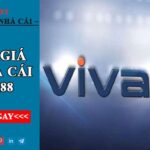 Viva88.net. Nơi tụ tập các game thủ yêu thích E-Sport & Casino