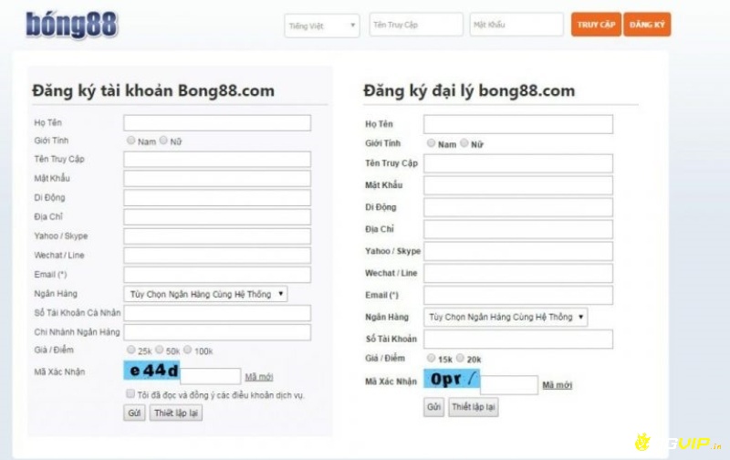 Bong88 hỗ trợ người dùng tài khoản cá cược nhanh chóng