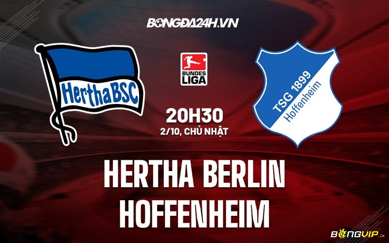 Đánh giá 2 đội hoffenheim vs hertha berlin trước trận đấu ngày 2/10