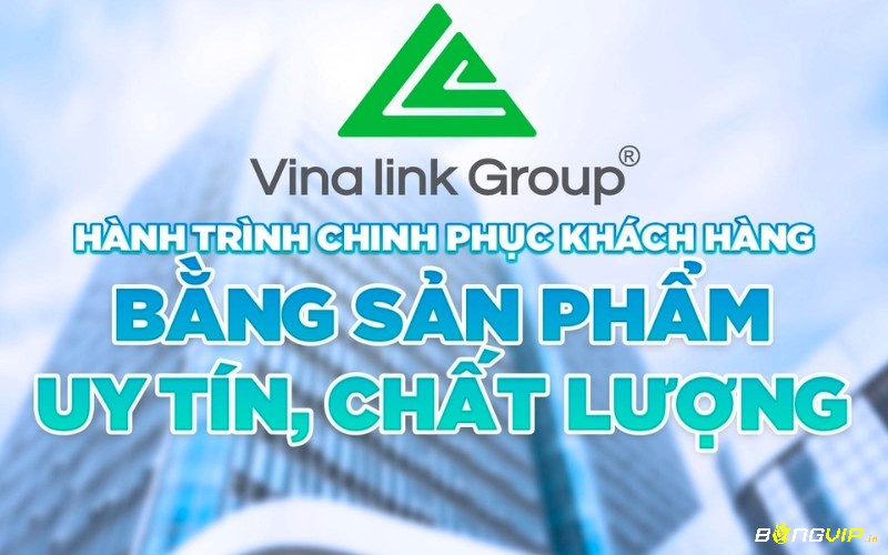 Giới thiệu sơ lược về công ty vina-link.com.vn