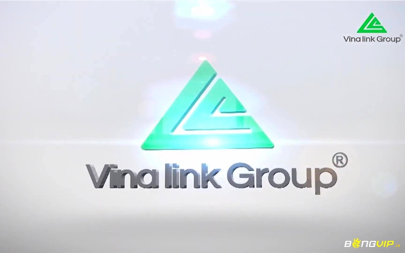Truy cập vina-link.com.vn chính thống của công ty