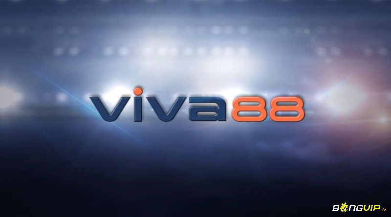 Viva.88.net – Thiên đường giải trí hàng đầu hiện nay
