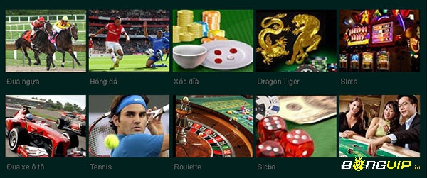 Trang web Www.casino889.com nhận được sự quan tâm của rất nhiều người dùng cá cược