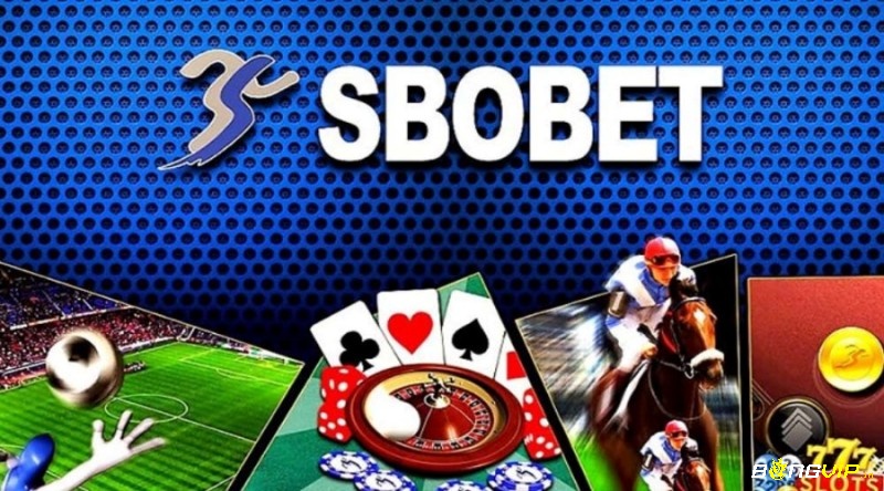1gom sbobet – Sân chơi cá cược thể thao cực kỳ uy tín 