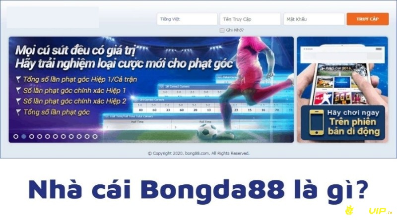 Bong88.com.vn – Web cược uy tín hàng đầu số 1 thị trường