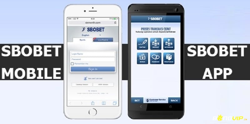 Hướng dẫn tải ứng dụng di động Sbobet về điện thoại