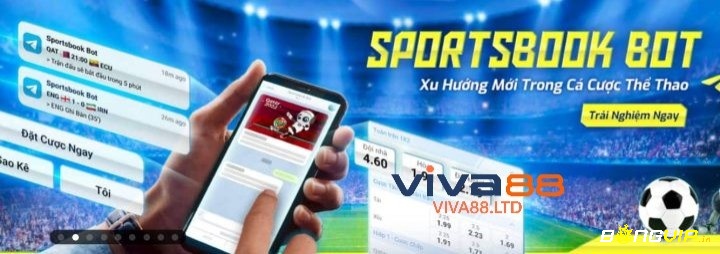 Cá cược bóng đá tại Viva