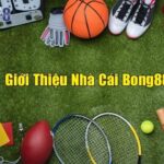 Bong88 ca cuoc - Nhà cái cá cược thể thao số 1 Việt Nam