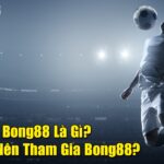 www bong88 com - Trang web cá độ uy tín & phổ biến hàng đầu