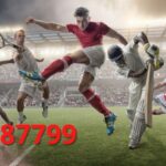 8887799.com – Sân cược thể thao bóng đá an toàn và uy tín