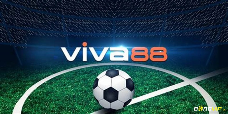 Tổng quan vê Viva 88 .net 