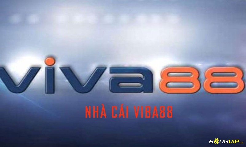 Tổng quan về Viva88.nex