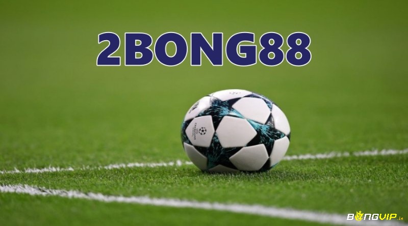 2Bong88 – Trang web tổng hợp tin tức thể thao chất lượng 