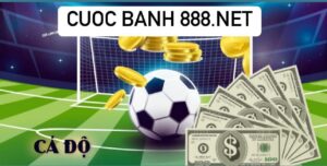 Cuoc banh 888.net - Khám phá sân chơi cá cược hàng đầu