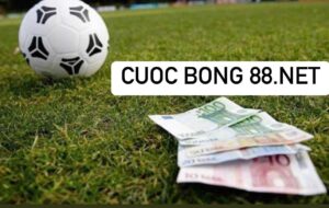 Cuoc bong 88.net - Khám phá sân chơi cá cược bảo mật tốt