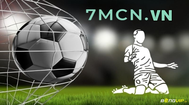 7M.cn. vn – Kênh cung cấp thông tin bóng đá chuẩn xác