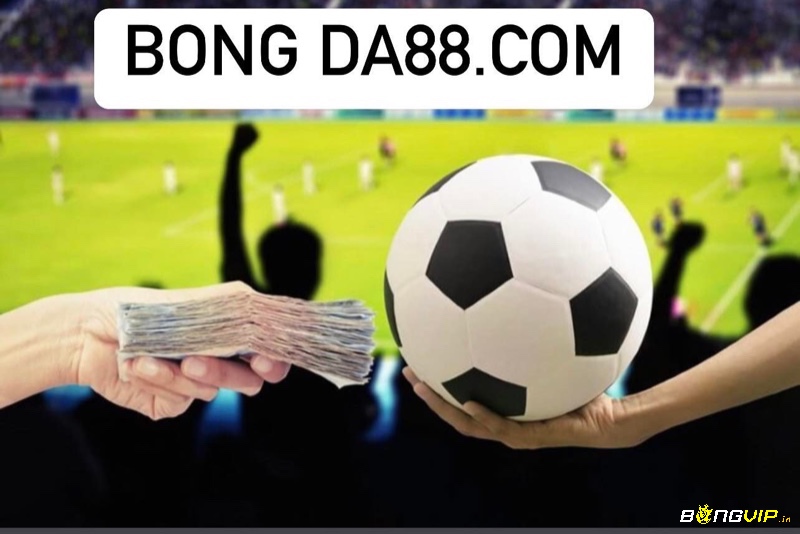 Bong da88.com là website cá cược uy tín và chất lượng hàng đầu hiện nay