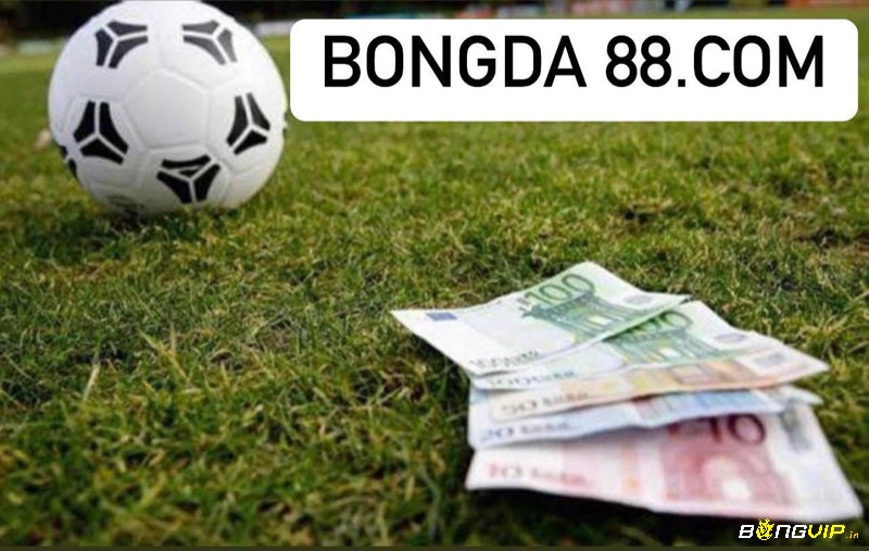 Bongda 88.com là website cá cược trực tuyến uy tín và đảm bảo 