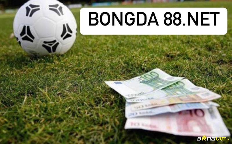 Bongda 88.net là website cá cược được đông đảo anh em cược thủ tham gia