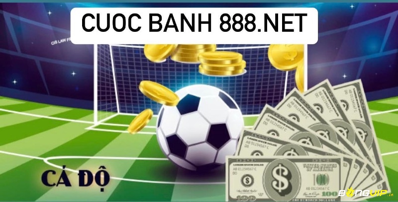 Cuoc banh 888.net là website cược chất lượng hàng đầu hiện nay