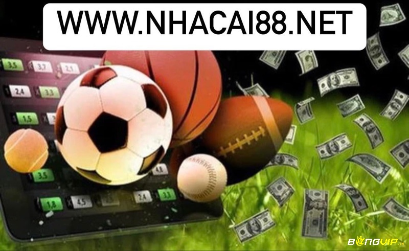 Www.nhacai88.net là website cá cược trực tuyến cực kỳ chất lượng 