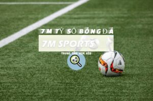 7Msport live – Cập nhật tin tức bóng đá uy tín nhất hiện nay