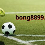 Bong 88999.net - Sân chơi cá cược chuyên nghiệp đỉnh cao