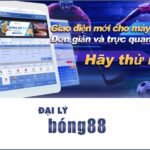 Bongda 888 net - Trang cược trực tuyến uy tín nhất 2023