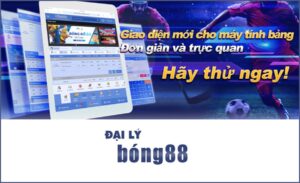 Bongda 888 net - Trang cược trực tuyến uy tín nhất 2023