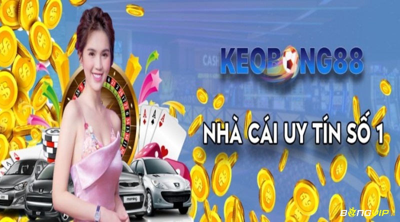 Keo bongvda 88 – Trang cập nhật tỷ lệ kèo chất lượng nhất 