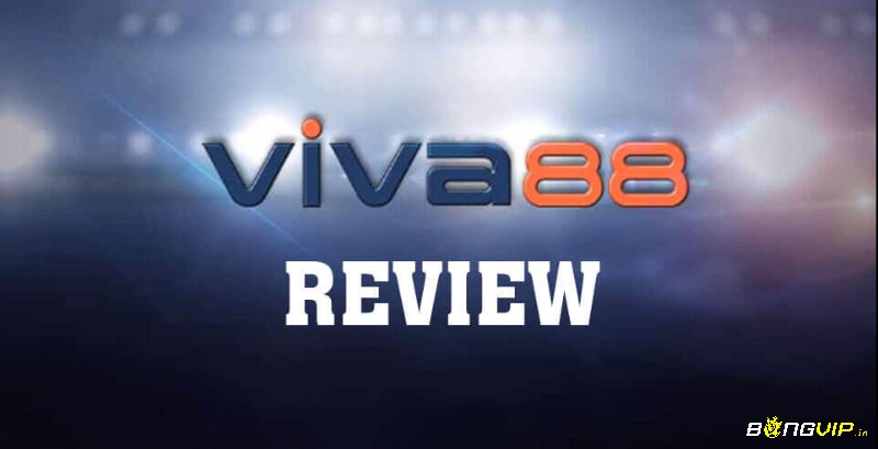 Review chi tiết đặc điểm nổi trội tại Viva88 net Viva88 net